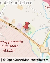 Rivestimenti in Legno Cerveteri,00052Roma