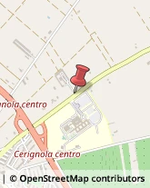 Legname da Costruzione Cerignola,71042Foggia