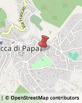 Alimentari Rocca di Papa,00040Roma