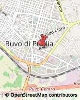 Professionali - Scuole Private Ruvo di Puglia,70037Bari