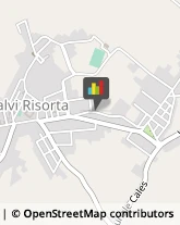 Avvocati Calvi Risorta,81042Caserta