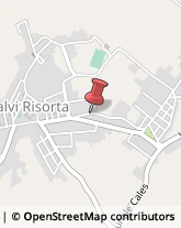 Avvocati Calvi Risorta,81042Caserta