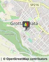 Formazione, Orientamento e Addestramento Professionale - Scuole Grottaferrata,00046Roma