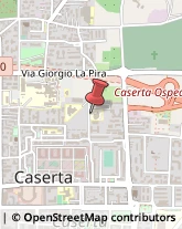 Zootecnia - Centri Riproduzione e Sperimentazione Caserta,81100Caserta