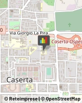 Zootecnia - Centri Riproduzione e Sperimentazione Caserta,81100Caserta