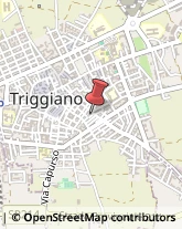 Autogru - Noleggio Triggiano,70019Bari