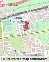 Via Riccardo Pitteri, 42,00177Roma