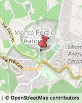 Paste Alimentari - Dettaglio Monte Porzio Catone,00040Roma