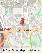 Cornici ed Aste - Dettaglio Roma,00157Roma