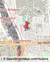 Pavimenti - Levigatura, Lamatura e Verniciatura Roma,00157Roma
