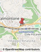 Giardinaggio - Macchine ed Attrezzature Valmontone,00038Roma