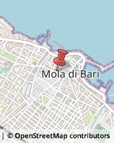 Biologia - Studi e Laboratori Mola di Bari,70042Bari