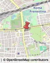 Fiere, Saloni e Mostre - Enti Organizzatori Roma,00177Roma