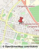 Agenti e Rappresentanti di Commercio Cerignola,71042Foggia