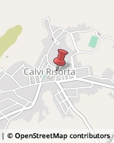 Avvocati Calvi Risorta,81042Caserta