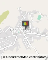 Avvocati Calvi Risorta,81042Caserta