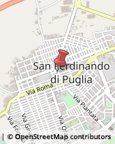 Pelletterie - Dettaglio San Ferdinando di Puglia,76017Barletta-Andria-Trani