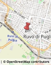 Ristoranti Ruvo di Puglia,70037Bari