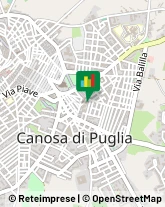 Consulenza Informatica,76012Barletta-Andria-Trani