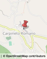 Pasticcerie - Dettaglio Carpineto Romano,00032Roma