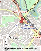 Articoli per Ortopedia,00199Roma