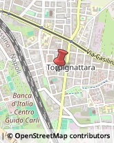 Consulenza Commerciale ,00176Roma