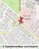 Consulenze Speciali,71122Foggia