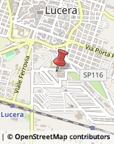 Sport - Scuole Lucera,71036Foggia