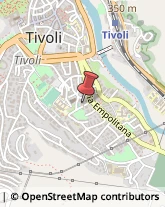 Consulenza alle Imprese e agli Enti Pubblici Tivoli,00019Roma