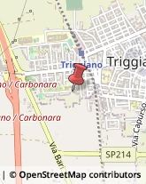 Tricologia - Studi e Centri Triggiano,70019Bari