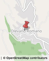 Notai Olevano Romano,00035Roma