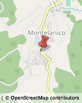 Piante e Fiori - Dettaglio Montelanico,00030Roma