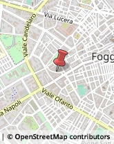 Internet - Servizi Foggia,71100Foggia