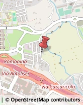 Gas Liquefatti e Compressi - Produzione e Ingrosso Roma,00133Roma