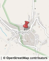 Imprese di Pulizia Carpino,71010Foggia