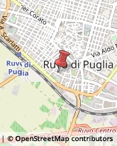 Palestre e Centri Fitness Ruvo di Puglia,70037Bari