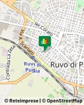 Commercialisti Ruvo di Puglia,70037Bari