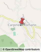 Case di Riposo e Istituti di Ricovero per Anziani Carpineto Romano,00032Roma