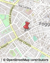 Psicologi,71121Foggia