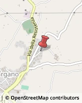 Avvocati Vico del Gargano,71018Foggia