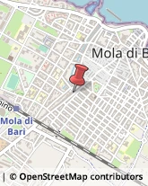 Spedizionieri Doganali Mola di Bari,70024Bari