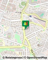 Tour Operator e Agenzia di Viaggi,00143Roma