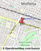 Articoli per Ortopedia Molfetta,70056Bari