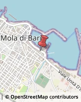 Pollame, Conigli e Selvaggina - Dettaglio Mola di Bari,70042Bari