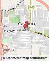 Licei - Scuole Private Casaluce,81030Caserta