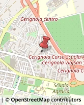 Uffici Temporanei Cerignola,71042Foggia