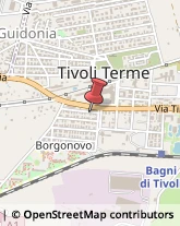 Drogherie Tivoli,00011Roma