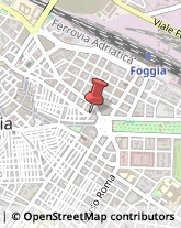 Stereofonia ed Alta Fedeltà Foggia,71121Foggia