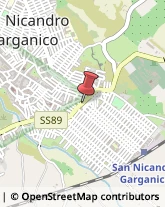 Piante e Fiori - Dettaglio San Nicandro Garganico,71015Foggia