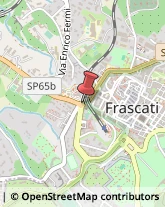 Tessuti e Filati - Trattamenti Frascati,00044Roma